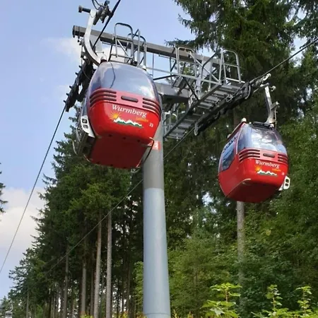 Feriendomizil Tannenhof - Wurmberg *