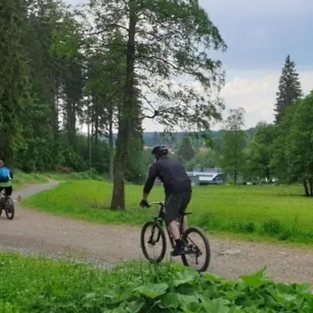 Feriendomizil Tannenhof - Wurmberg