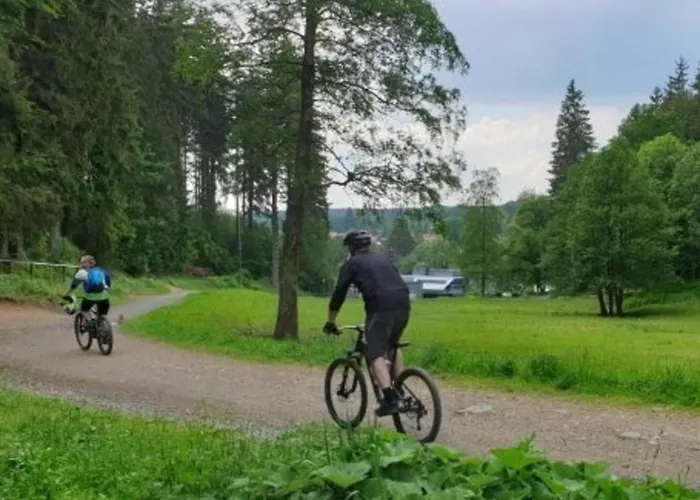Feriendomizil Tannenhof - Wurmberg